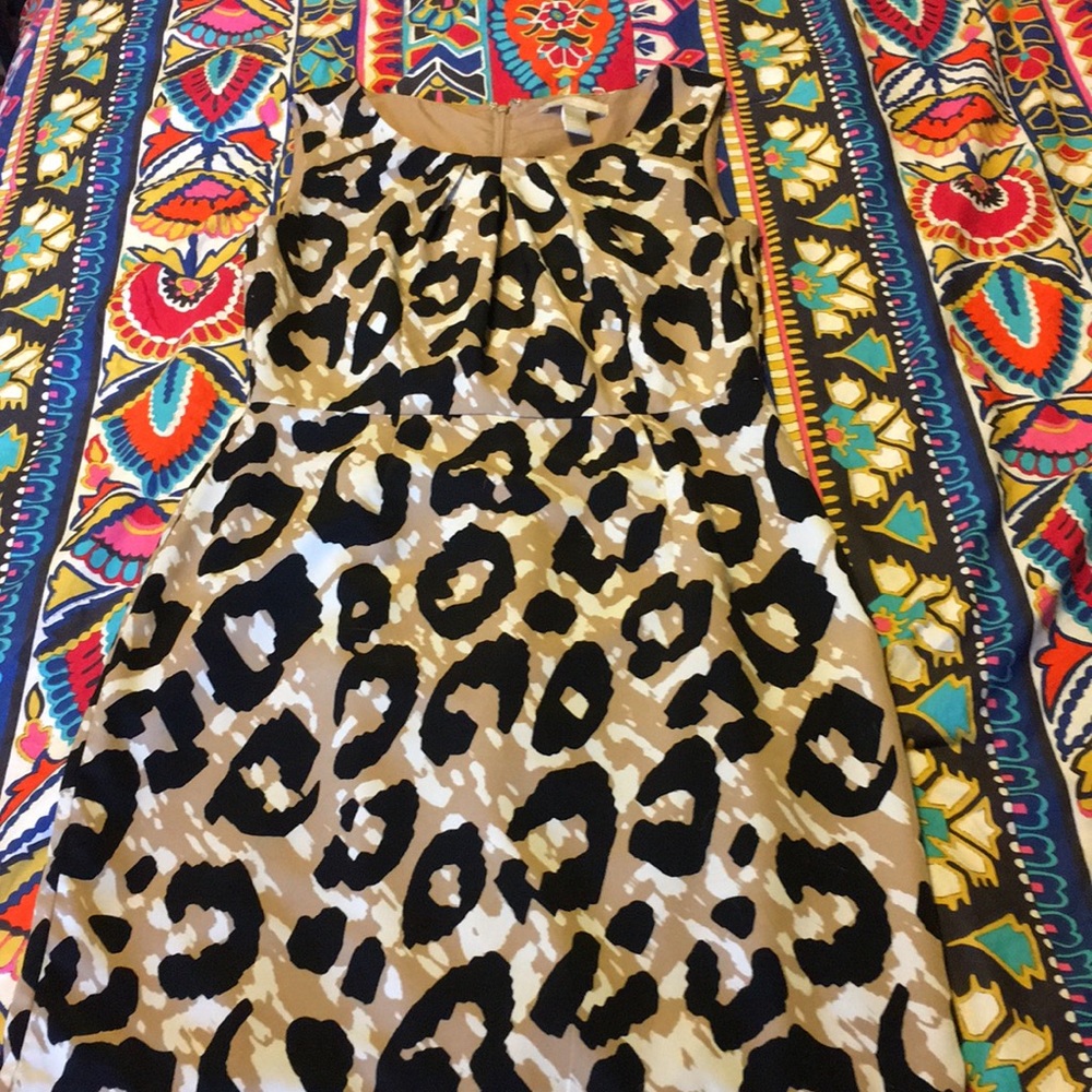 Banana Republic Leopard print Sheath, size 2